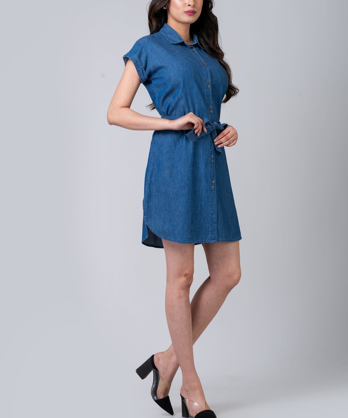 Lauren Denim Classic Shirtdress